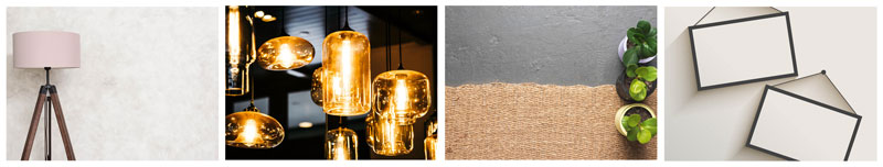 design conception décoration plante