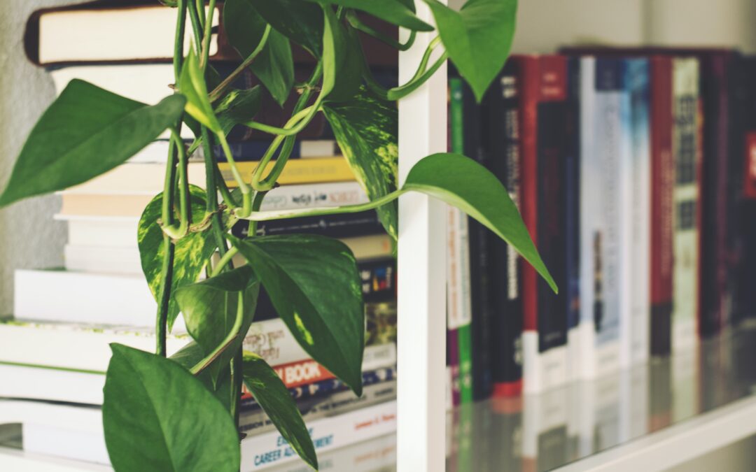 Notre présence sur les salons à la rentrée 2022